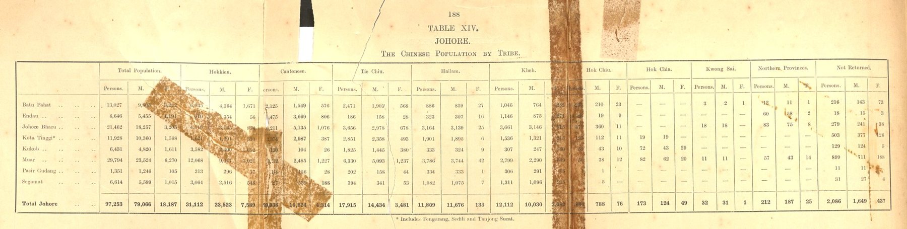 Table XIV of the 1921 Census of British Malaya: Johore, the Chinese population by tribe.