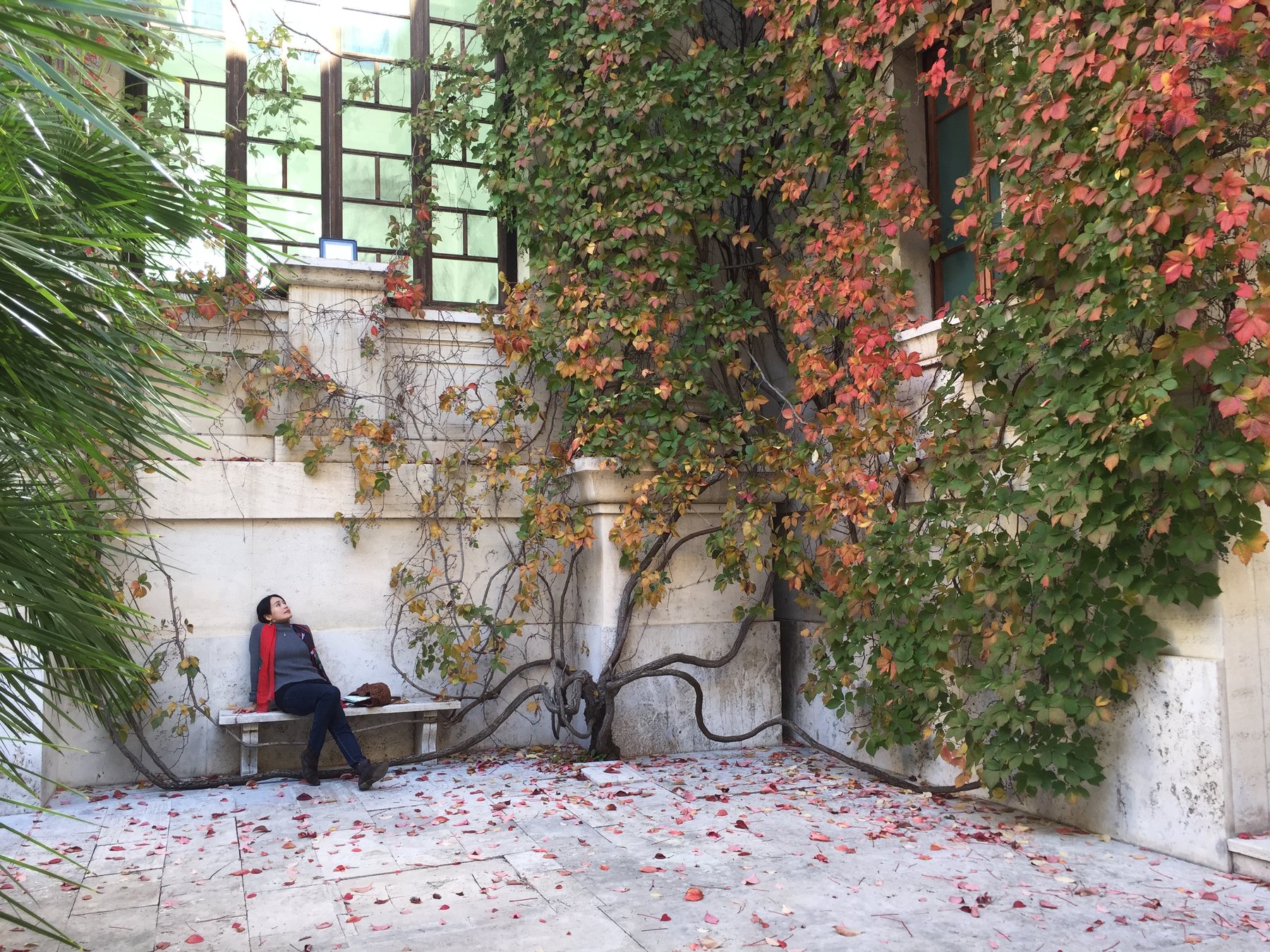 A woman seated on a stone bench in the museum courtyard, leaning back and looking upward, surrounded by gnarled autumn vines climbing the building walls, red and yellow leaves scattered across the stone paving.