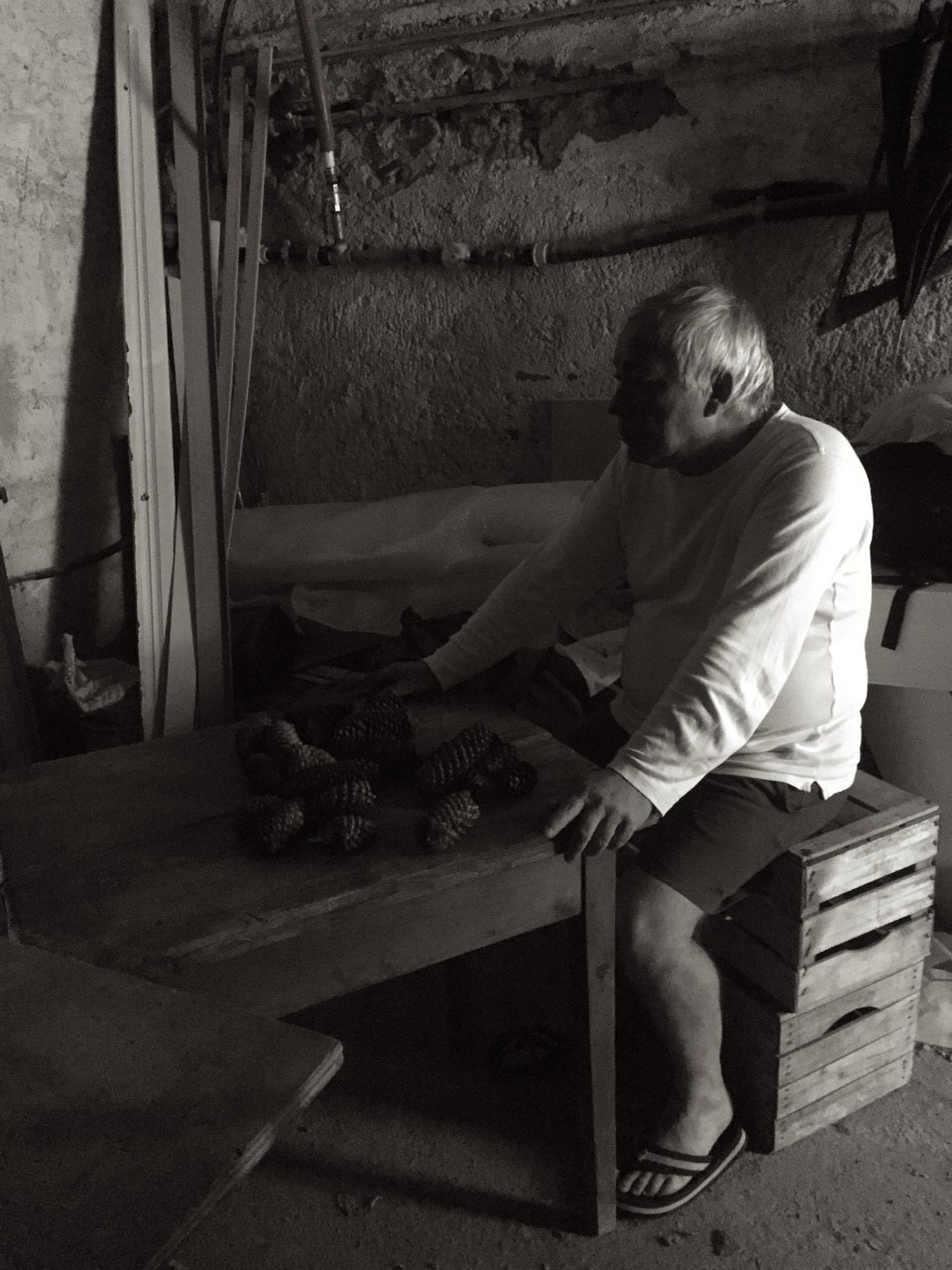 A quiet interior detail, an old workbench with pinecones gathered on its surface, a figure seated nearby in low light.
