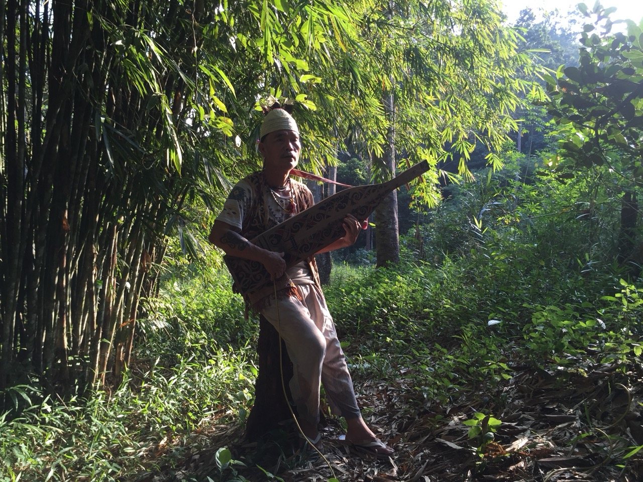 A man in traditional Dayak dress playing a sape in a clearing surrounded by tall bamboo, morning light filtering through the canopy behind him.