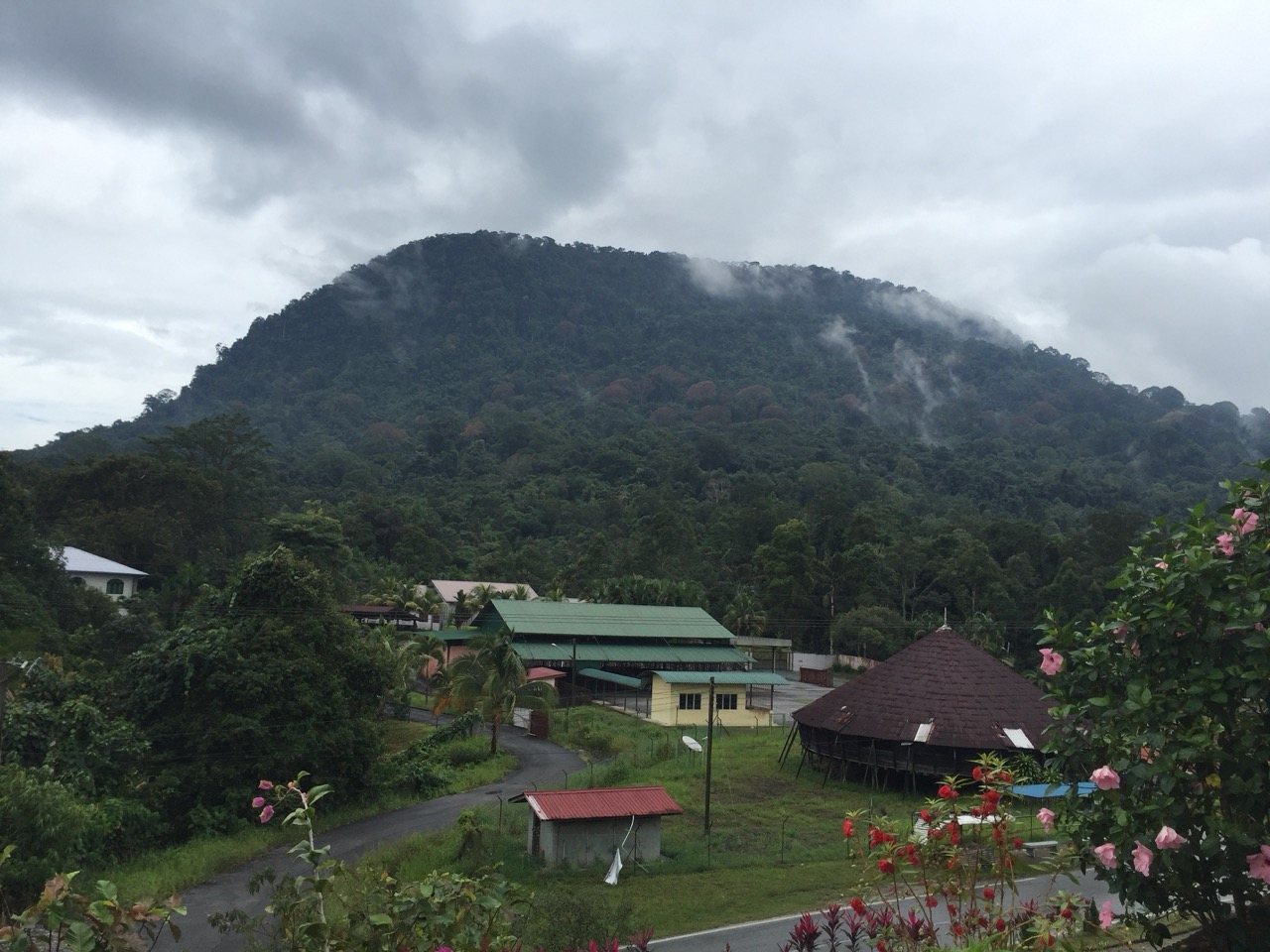 A green hill covered in tropical rainforest, its peak wrapped in low cloud, with a longhouse and community buildings in the foreground, hibiscus flowers in the lower right.