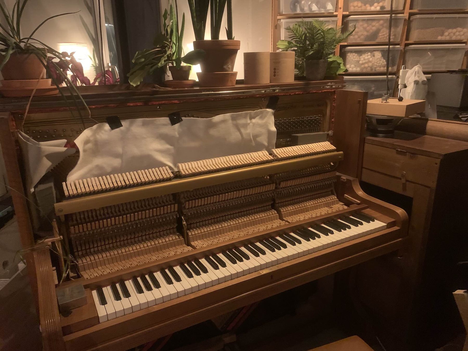 The Piano with Its Bones Exposed