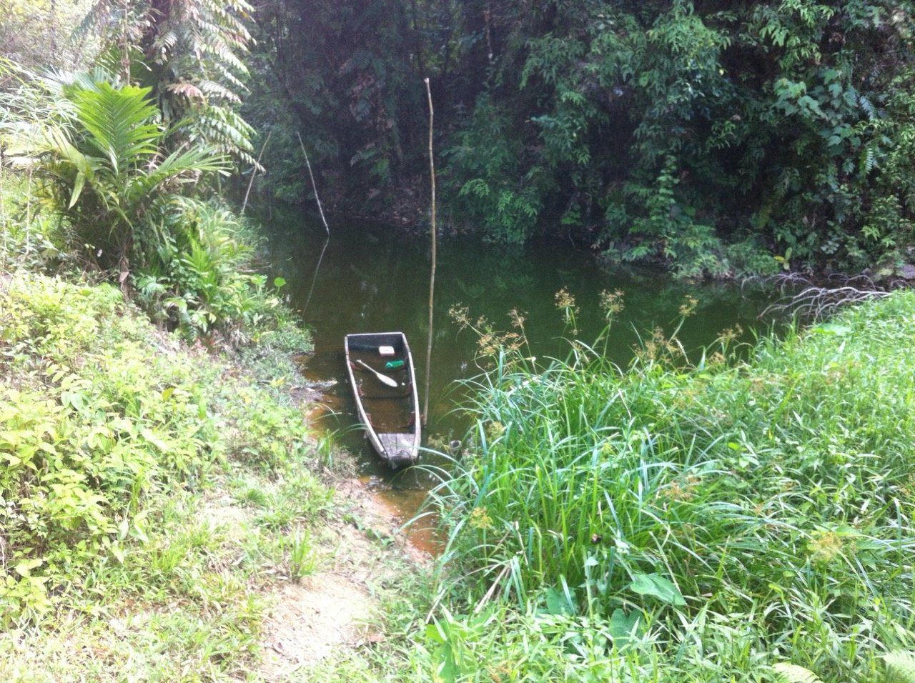 A small wooden rowing boat moored at the muddy bank of a dark jungle river, dense green rainforest pressing in on both sides, the water still and deep.