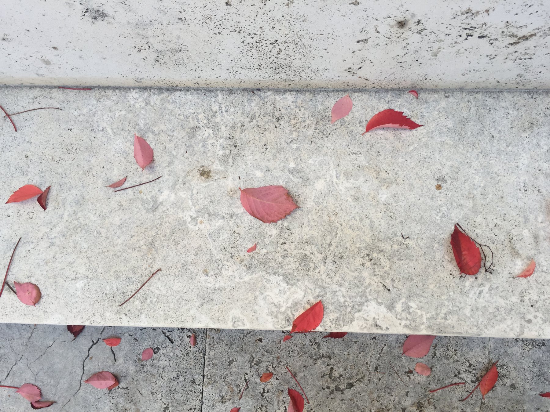 A marble bench in the museum courtyard with scattered red autumn leaves across its surface, stone wall and paving visible beyond.